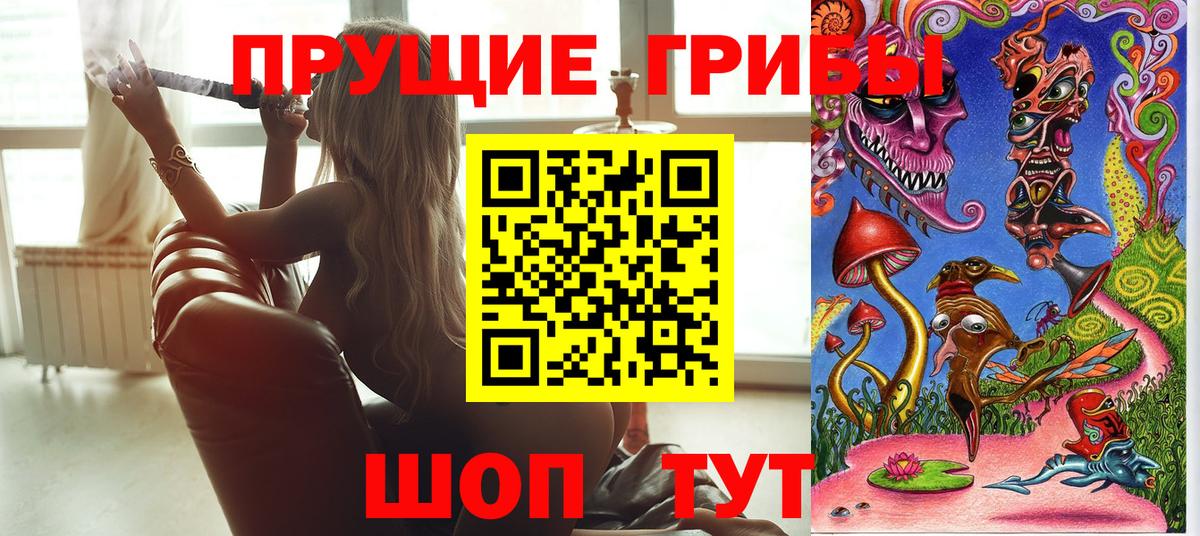 Анапа  Галлюциногенные грибы прущие грибы  Вход с VPN  Галлюциногенные грибы Psilocybe 