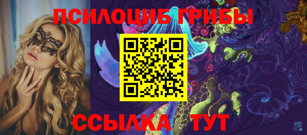 Псилоцибиновые грибы Cubensis Анапа